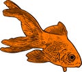 Gold fish illustration Royalty Free Stock Photo