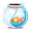 Gold fish inside a round glass aquarium isolated on white background. Vector cartoon close-up illustration. Royalty Free Stock Photo