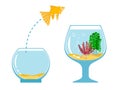 Gold fish jumping escape from fishbowl to other aquarium simple vector illustration Royalty Free Stock Photo