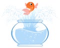 Gold fish jumping