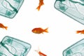 Gold fish and net Royalty Free Stock Photo