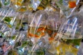 Gold fish   in plastic bag on pet market Royalty Free Stock Photo