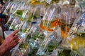 Gold fish   in plastic bag on pet market Royalty Free Stock Photo