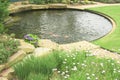 A gold fish pond in the garden.