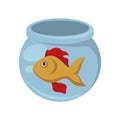 Gold fish with red flippers in round aquarium Royalty Free Stock Photo