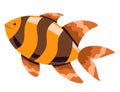 Gold fish with stripes, tropical animal in sea