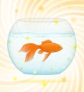 Gold fish in a transparent aquarium vector illustration Royalty Free Stock Photo