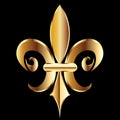 Gold Fleur De Lis