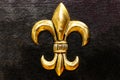 Gold Fleur-de-lis on painted black background II