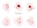 Floral decoration vector set. Botanic arrangements illustration of red and peach roses with leaves, branch. Botanic elements for Royalty Free Stock Photo