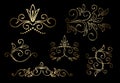 Gold floral vector design elements - set Royalty Free Stock Photo