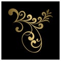 Gold Floral Ornament Decorative Heraldic Baroque Frame Vector Ilustration Royalty Free Stock Photo