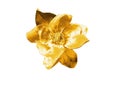 Gold flower