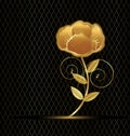 Gold flower rose on black background Royalty Free Stock Photo