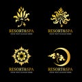 Gold Flower thai art logo vector set