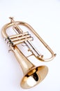 Gold Flugalhorn Isolated On White Royalty Free Stock Photo