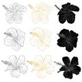 Gold foil, black ink and silhouette tropical hibiscus flower set. Chinese rose flower. Hand drawn vector line art Royalty Free Stock Photo