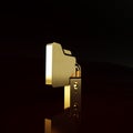 Gold Folder and lock icon isolated on brown background. Closed folder and padlock. Security, safety, protection concept