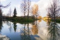 Gold forest and reflection water