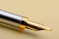 Gold fountain pen closeup Royalty Free Stock Photo