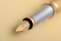 Gold fountain pen closeup Royalty Free Stock Photo