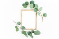 Gold frame is decorated with green branches and eucalyptus leaves on a white background. lay flat, top view