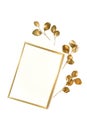 Gold frame and gold eucalyptus leaves frame isolated on white background top view, copy space.