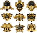 Gold framed labels Royalty Free Stock Photo