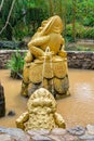 Gold frog sits on coins in pond with dirty water Royalty Free Stock Photo