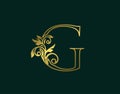 Gold G Luxury Logo Icon, Classy Letter Logo Design. Luxury Silver calligraphic alphabet arts logo