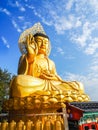 Gold Giant Buddha, Main Buddha Statue at Sanbanggulsa Temple, Sa