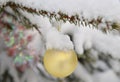 Gold glass Christmas ball on Christmas tree with snow as background Royalty Free Stock Photo