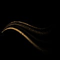 Gold glitter flow abstract lines isolated on black background. Sparkling vector dots wave with space for text for banners, party Royalty Free Stock Photo