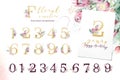 Gold glitter letter alphabet. Isolated Golden alphabetic fonts and numbers on white background. Floral wedding font text