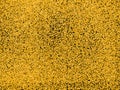 Gold glitter particles isolate on png or transparent background with sparkling snow and star light. Graphic resources for Royalty Free Stock Photo