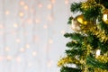 Gold glitter robin on Christmas tree. Copy space. Royalty Free Stock Photo