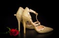 Gold glitter shoe with red rose on black background Royalty Free Stock Photo