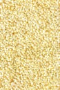 Gold glittering christmas lights. Blurred abstract background Royalty Free Stock Photo