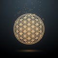 Gold glowing ornament flower of life