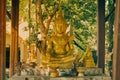 Gold God Statue on Green Forest Background in Vintage Tone