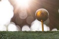 Golden golf ball is the world`s biggest sport Royalty Free Stock Photo