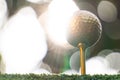 Golden golf ball is the world`s biggest sport Royalty Free Stock Photo