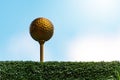 Golden golf ball is the world`s biggest sport Royalty Free Stock Photo