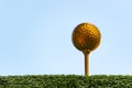 Golden golf ball is the world`s biggest sport Royalty Free Stock Photo