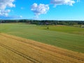 Gold grain fields with truck tracks, green meadow, village buildings, blue sunny sky, aerial view from top