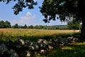 Golden New England Field With Stone Wall And Split Rail Fence