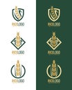 Gold green rice logo with modern paddy rice in frame style vector collection design