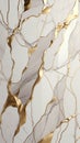 Gold grey and white texture. Polished stone wall with an exquisite natural pattern. Wallpaper design