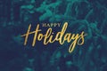 Gold Happy Holidays Script with Duotone Evergreen Branches Background Royalty Free Stock Photo