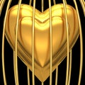 Gold heart in golden cage Royalty Free Stock Photo